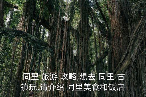  同里 旅游 攻略,想去 同里 古鎮(zhèn)玩,請(qǐng)介紹 同里美食和飯店