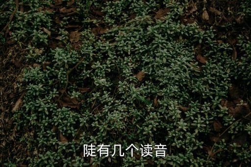 陡怎么讀，陡有幾個讀音