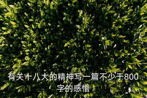 十八大心得體會，看完十八大的心得體會 800字急需