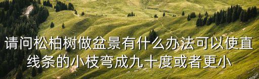 請問松柏樹做盆景有什么辦法可以使直線條的小枝彎成九十度或者更小