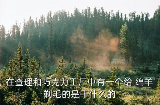 粉色綿羊,羊絨、羊毛、純絲和真絲衣服需要特殊洗滌劑