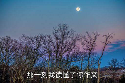 那一刻我讀懂了你作文