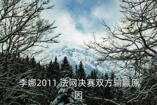 李娜法網,中國網球女將李娜奪法網四冠王