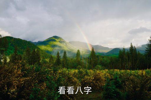看看八字