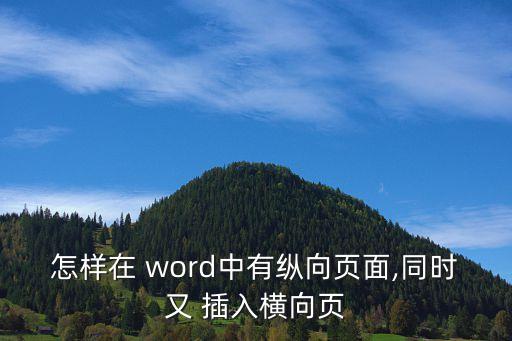 word插入橫頁,如何在word中設置橫向頁面?