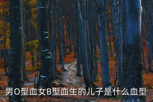 男O型血女B型血生的兒子是什么血型