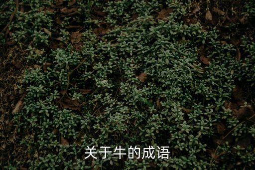 牛有關的成語，關于牛的成語