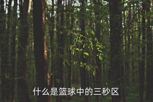 什么是籃球中的三秒區