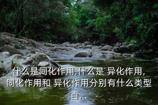 異化作用,沒有同化作用異化是不可能的