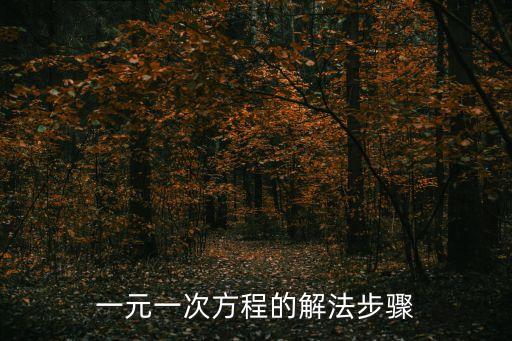 一元一次方程教學(xué)視頻，一元一次方程怎么做