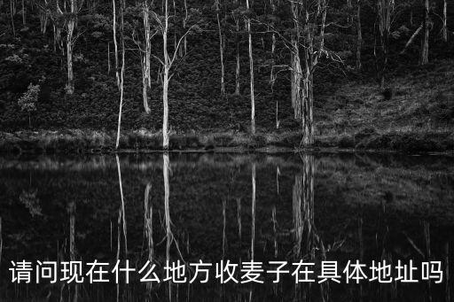 收麥子，麥子怎門收的