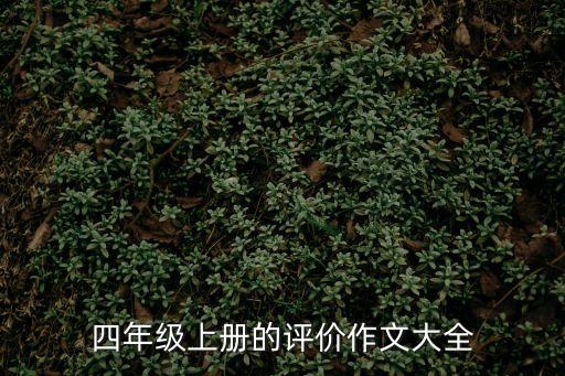 四年級(jí)上冊(cè)的評(píng)價(jià)作文大全