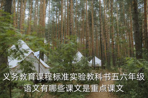 詠雪教學(xué)設(shè)計(jì)，詠雪導(dǎo)入語(yǔ)怎么設(shè)計(jì) 求大哥大姐們幫幫忙