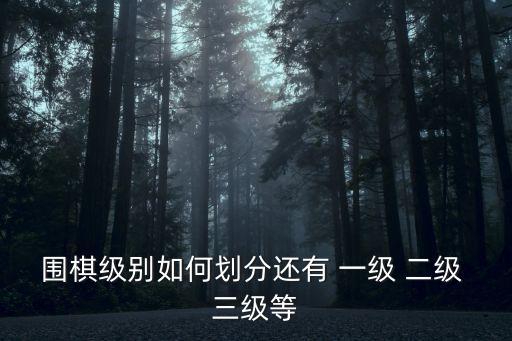 圍棋級別如何劃分還有 一級 二級 三級等