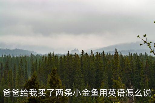爸爸給我買了兩條小金魚用英語怎么說