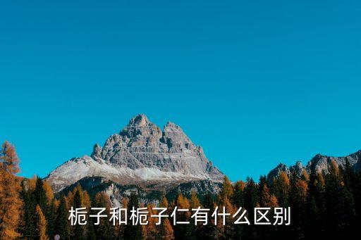 梔子仁，梔子和梔子仁有什么區(qū)別