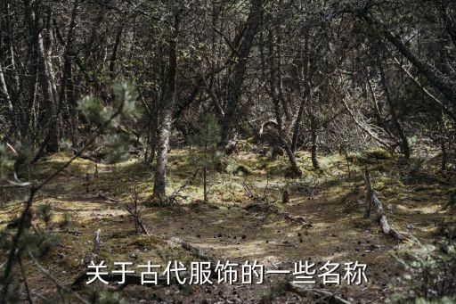 關于古代服飾的一些名稱
