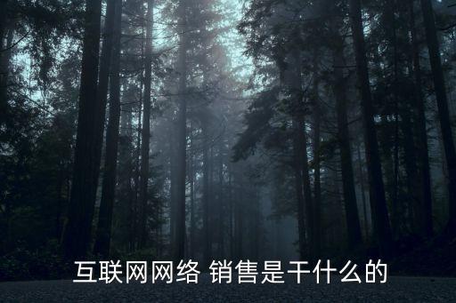  互聯網網絡 銷售是干什么的