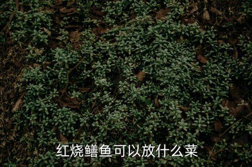 紅燒鱔段,黑豆椒炒黃鱔食材:鱔魚300g