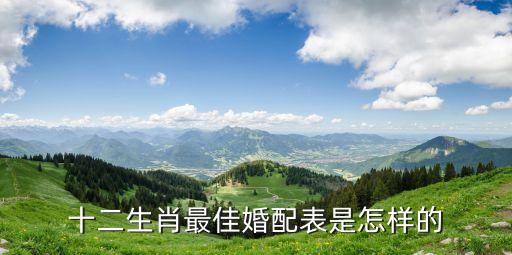 十二生肖最佳婚配表是怎樣的