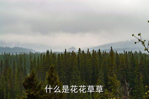 什么是花花草草