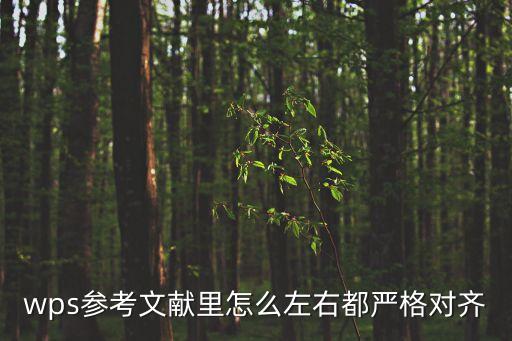 wps參考文獻里怎么左右都嚴格對齊
