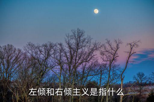 左傾和右傾主義是指什么