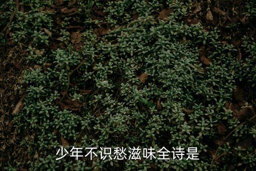 少年不識(shí)愁滋味全詩(shī)是