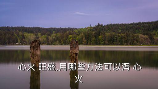  心火 旺盛,用哪些方法可以瀉 心火