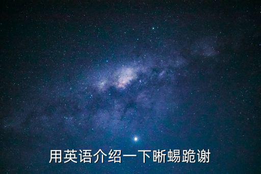 用英語介紹一下晰蜴跪謝