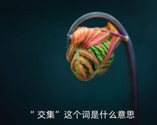 “ 交集”這個詞是什么意思
