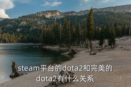 doto2,別墅杯dota2巔峰聯賽水友稱為純粹粹