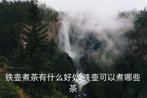 鐵壺，鐵壺品牌有哪些哪個牌子的好