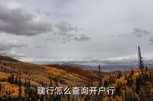 建行怎么查開戶行，怎么查詢中國建設銀行的開戶行信息