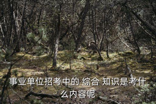 綜合知識考試題庫,考試范圍包括公共基礎知識及能力素質等
