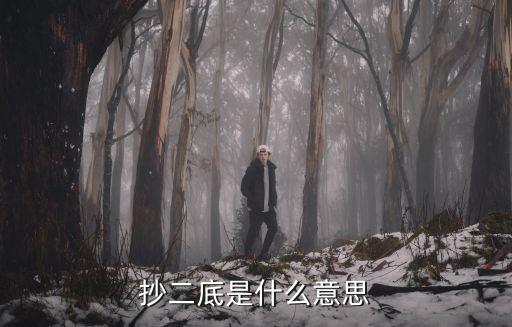 抄二底是什么意思