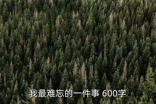 我最難忘的一件事 600字
