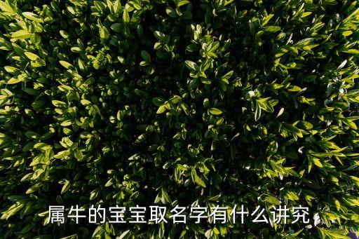 牛寶寶取名宜用字，屬牛寶寶起什么名字