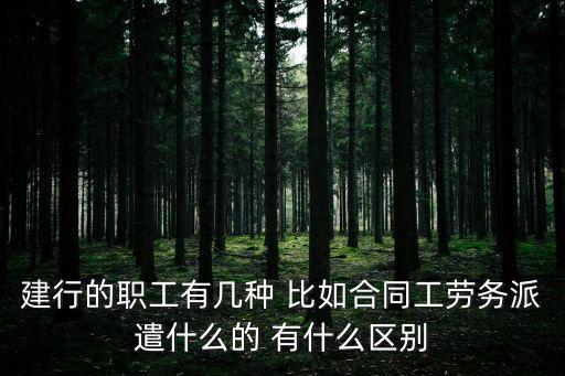 建行的職工有幾種 比如合同工勞務(wù)派遣什么的 有什么區(qū)別