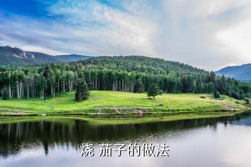 如何燒茄子,先熱油再放入茄子塊翻炒至汁盡即可盛盤