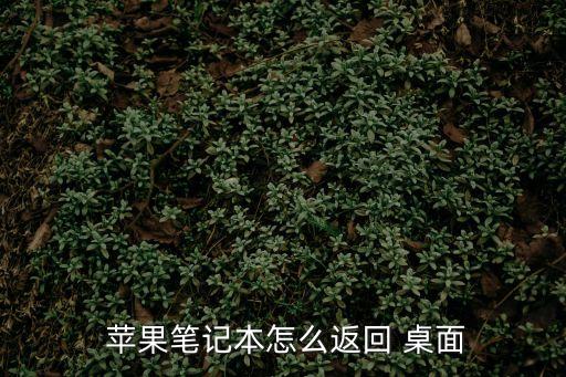  蘋果筆記本怎么返回 桌面