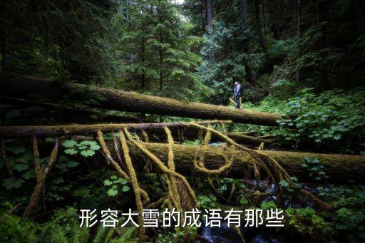 形容雪很大的成語，形容雪非常大的成語