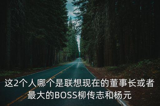 楊元慶，楊元慶是哪個公司的CEO
