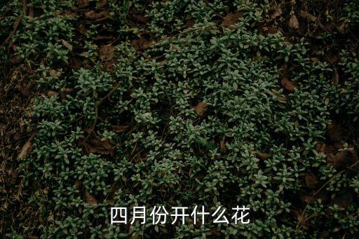 四月的花，哪些花在四月份開放