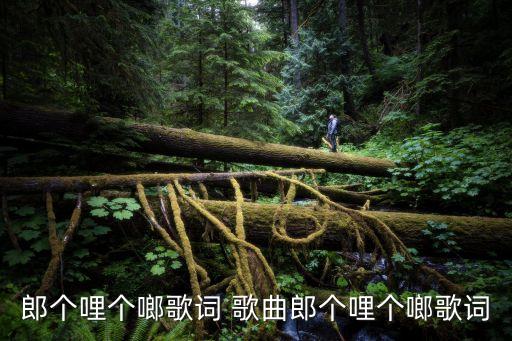 啷個哩個啷歌詞，啷哩個啷哩個啷原版是那首歌