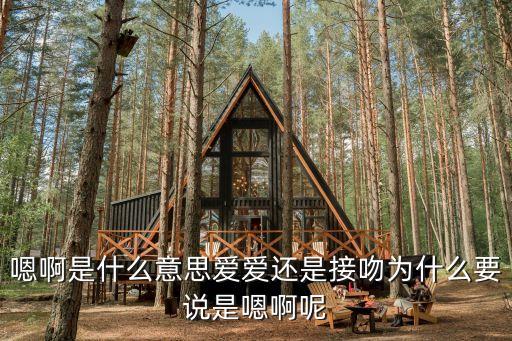 嗯嗯愛愛，xxoo什么意思