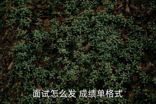 成績(jī)單表格,第一集:選擇需要排名的區(qū)域然后點(diǎn)擊投票