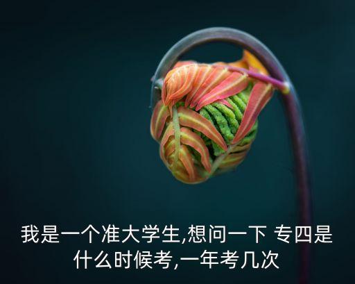 專四考試流程,一旦通過請加扣專四91586流程如何?