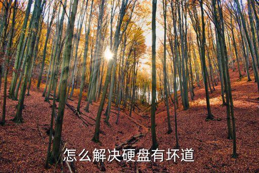 怎么解決硬盤有壞道