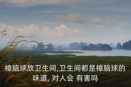 樟腦球放衛(wèi)生間,衛(wèi)生間都是樟腦球的味道, 對人會 有害嗎